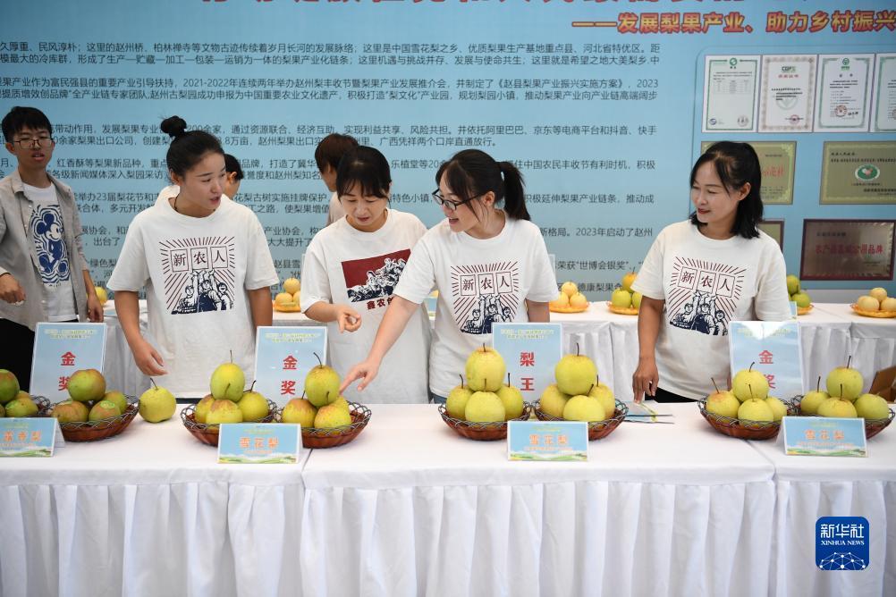 微乐斗地主电脑版下载官网